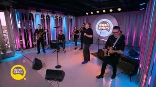Krzysztof Cugowski w piosence „Panaceum”