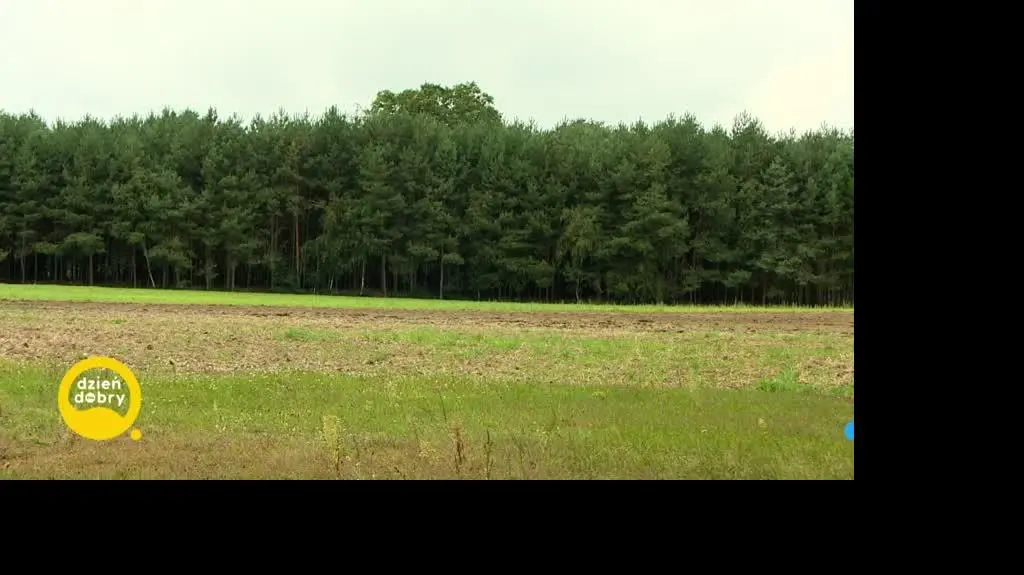 DD_20211004_Kot_rep_REP