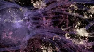 Horoskop na wtorek, 21 listopada. Układ na niebie obdarzy ten znak zodiaku sprawiedliwą wypłatą