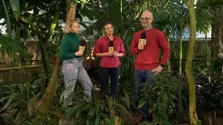 Aktywistki klimatyczne ostro o polityce rządu