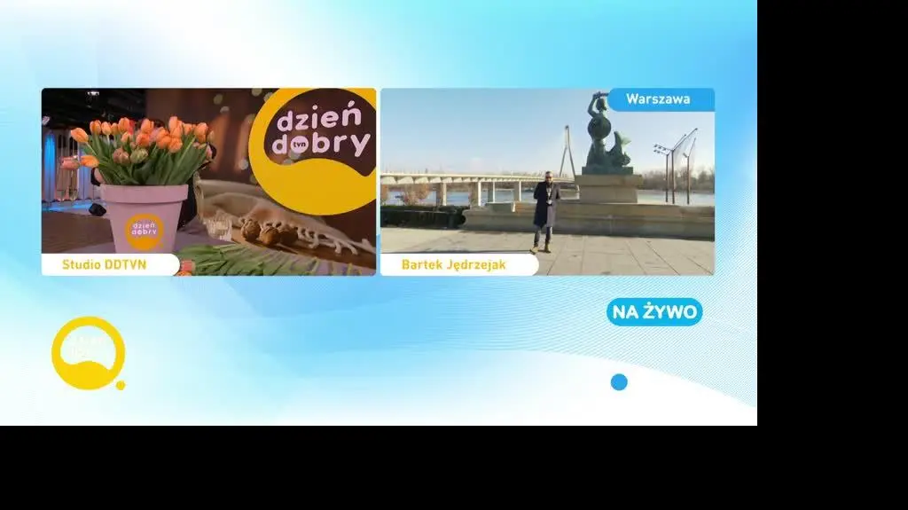 DD_20230308_Pytania_REP