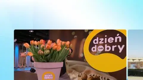 DD_20230308_Pytania_REP