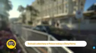 Polski film walczy o Złotą Palmę 