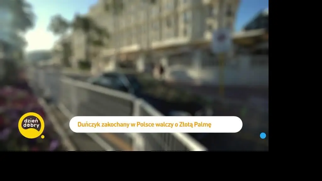 DD_20240518_Cannes_rep_REP