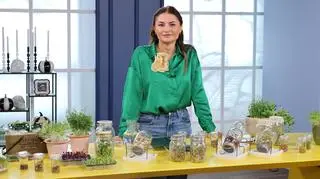 Dlaczego warto sadzić kiełki? "Posiadają do 40 razy więcej minerałów i witamin, niż warzywa"