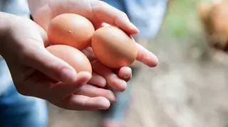 Dieta bogata w jajka pozwala dłużej cieszyć się młodym wyglądem? 