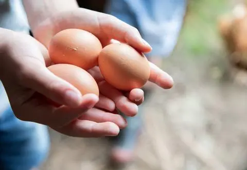 Dieta bogata w jajka pozwala dłużej cieszyć się młodym wyglądem? 