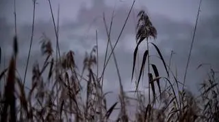 Uwaga! TVN: Zuzia żyła zaledwie sześć tygodni