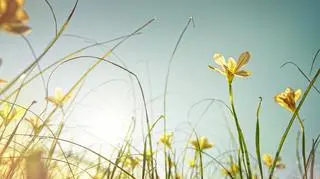 Pogoda we wtorek. Dzień będzie upalny i burzowy