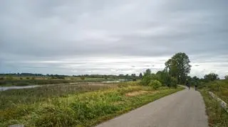 Pogoda na jutro. W niektórych regionach mogą się przydać parasole