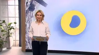 Newsy w Dzień Dobry TVN