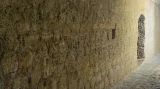 Zamek w Stobnicy – co warto wiedzieć o wielkiej inwestycji w Puszczy Noteckiej?