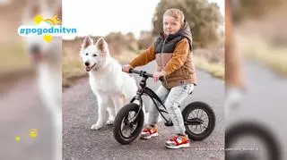 Pogodni TVN