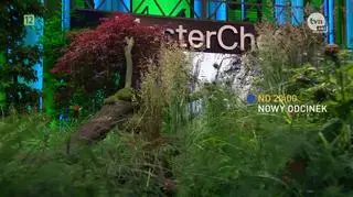 Uczestnicy "MasterChefa" zmierzą się z kuchnią wegańską. Magda Gessler: "To przyszłość Ziemi"