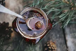 Syrop z sosny