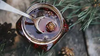 Syrop z sosny – jak zrobić naturalny lek na kaszel i przeziębienie?