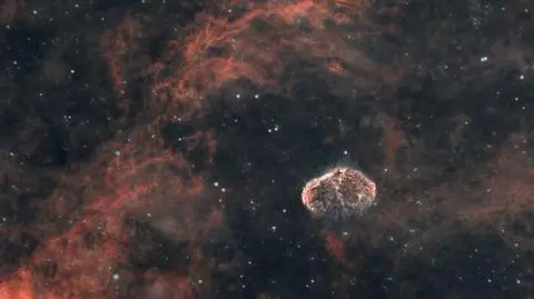 Horoskop dzienny na jutro, wtorek, 7 listopada 2023 r. dla wszystkich znaków zodiaku