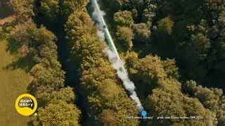 Przyjaźń wśród Zdrajców