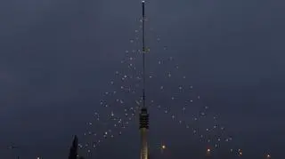 Rozbłysła największa na świecie choinka. Liczy ponad 360 metrów