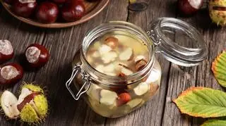 Domowy sposób na nalewkę z kasztanów. Kiedy je zbierać?