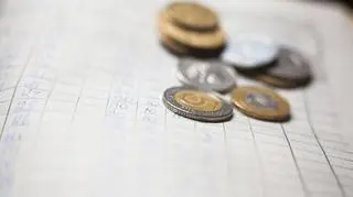 Kakebo. Na czym polega japońska sztuka oszczędzania?