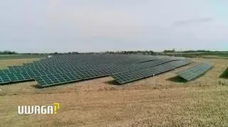 Ogromna farma ekranów fotowoltaicznych zamiast przyrody. Dramatyczna sytuacja mieszkańców Warmii