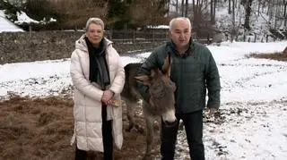 Osiołek z Lubachowa powalczy o Oscara 