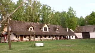 Bociania wioska w Polsce - jedyne takie miejsce w Europie. "To są wyśnione dla nich warunki"