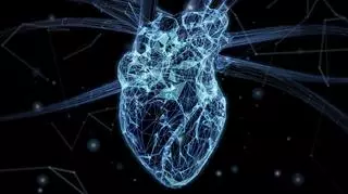 Badacze odkryli mikroplastik w sercu. To pierwsza taka sytuacja 