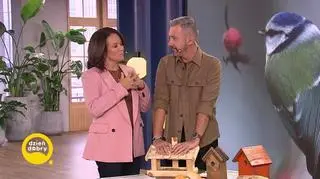 Czym nie karmić ptaków? 