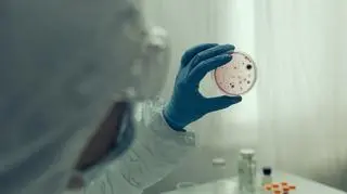 WHO opublikowało raport - rośnie liczba zakażeń cholerą. Co to za choroba?