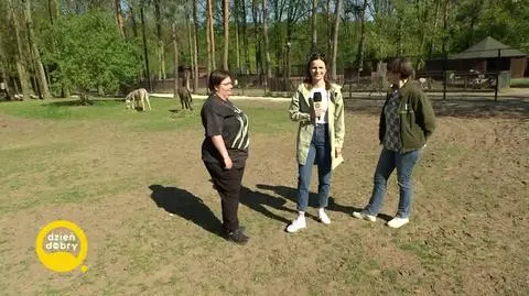 DD_20230510_Osiol_REP