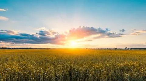 Czy na dniach czeka nas pogorszenie pogody? Synoptycy nie mają wątpliwości 