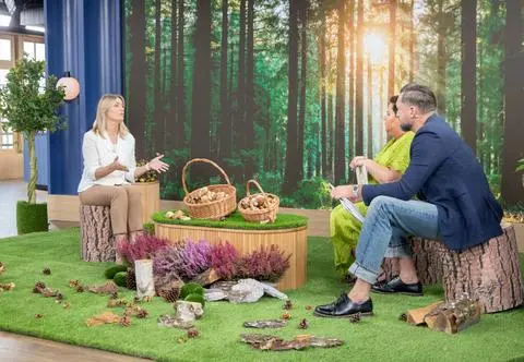 Surowe grzyby na talerzu. Które z nich można jeść bez obróbki termicznej?