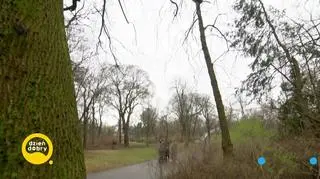 Ola Żuraw po 10 latach pogodziła się z mamą - napisy