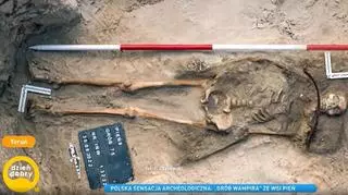 Polska sensacja archeologiczna. Znaleziono grób wampirzycy w małej wsi pod Toruniem