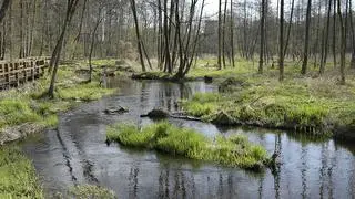 Królewskie Źródła