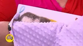 Małe zwierzęta, wielka odpowiedzialność 