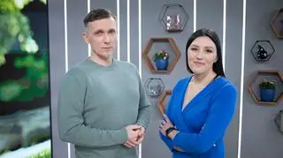 Choroba psychiczna a praca. Czy należy powiedzieć o niej pracodawcy?   