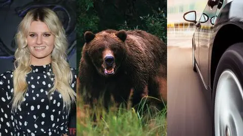 Podsumowanie dnia - czwartek, 16 maja 2024 roku