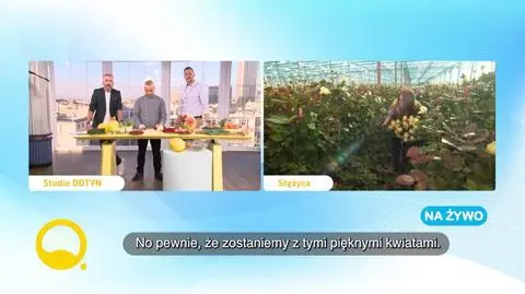 Czym jest carving?