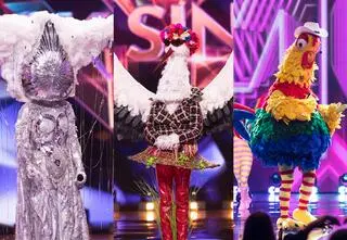 "Mask Singer". Znamy zwycięzcę programu. Kto ukrywał się pod maską?