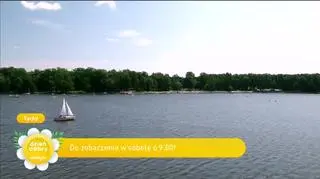 Michał Szczygieł w utworze “Pocałunek lata”