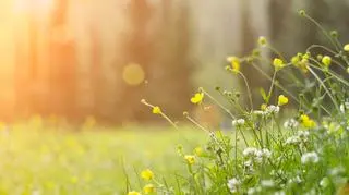 Pogoda na środę. Gdzieniegdzie temperatura przekroczy 20 st. C