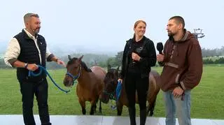 Galopem przez Bieszczady