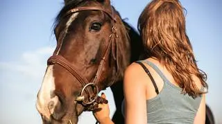 Czym charakteryzuje się ogłowie meksykańskie?