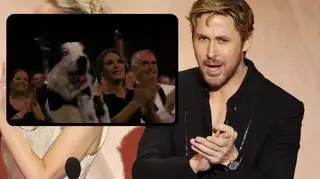 Zwierzę stało się gwiazdą Oscarów. Klaskał na widowni i zachwycił Ryana Goslinga. Wideo to viral
