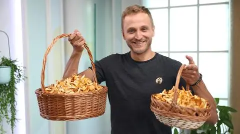 Grzybobranie latem. Gdzie teraz szukać kurek?