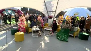 Kutno oczami miłośników kwiatów. "To miasto róż od 10 lat" 