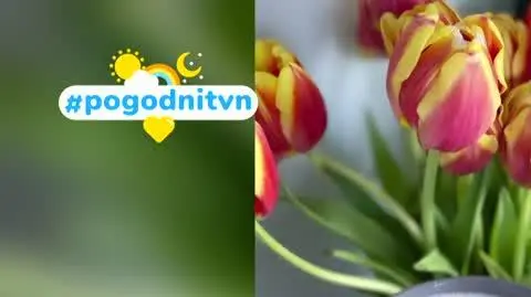 DD_20230313_Pogodni_REP